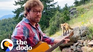 Wild Fox Visits This Man Everyday To Listen To His Music | The Dodo