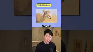 UGLY Animals Tier List!