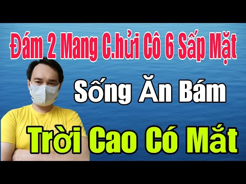 🟢 Đám 2 mang c.hửi Cô 6 sấp mặt, Sống ăn bám, Trời cao có mắt