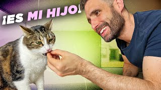Por qué DEBES TRATAR A TU GATO COMO SI FUERA TU HIJO 👪🧡😸¿Qué debes evitar?
