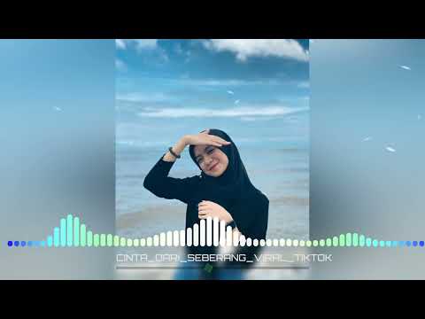 VIRAL TIKTOK JOGET KU PANDANG PANDANG CINTA DARI SEBERANG LAGU ACARA ASIK