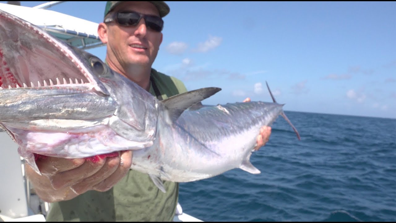 kingfish Catch Clean Cook Caramel Glazed Smoked Fish Dip