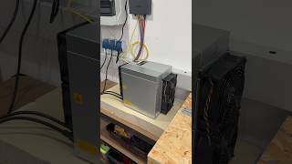 Wenn die Sonne eskaliert… 💰☀️ #antminers #photovoltaik #bitcoinmining