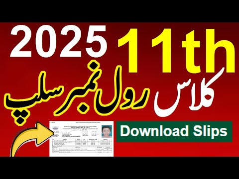 roll number slips for 11th class 2025,11 class roll number 2025,1st year roll no slips 2025
