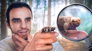 不思議な生物を見つけたよ！