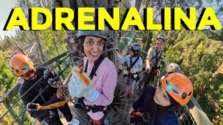 FAMILIA VIAJERA vuela sobre un Bosque milenario en Sudáfrica