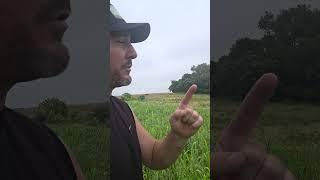 Upland Bird Fields Update #habitat #agriculture #foodplots  #conservation #farming #wildlifebuffet