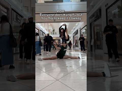 POV: Everyone Does Kung Fu But You Try To Keep It Lowkey… #martialarts #kungfu #wushu #elina