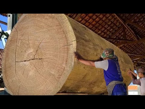 The dangers of sawmilling huge accident - woodworking big