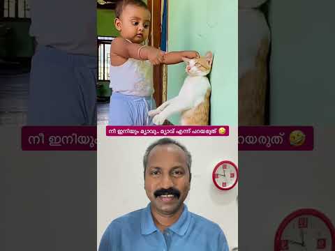 സുഹൃത്തുക്കളെ.. കുട്ടി കലിപ്പിലാണ്. മ്യാവു എന്ന് പറയുന്നത് വെറുപ്പാണുപോലും 🤣. #shorts #funnyshorts