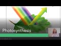 Exploring Photosynthesis Concepts in AP Biology