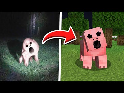 Minecraft Mobs CAPTURADOS NA VIDA REAL
