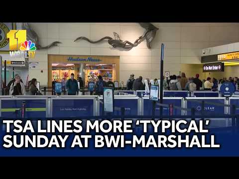 YouTube video thumbnail: TSA Line Wait Times Back to 'Typical' at BWI-Marshall