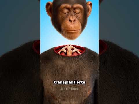 Das ist krass 🤯￼