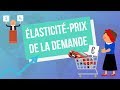 Élasticité de la demande et concepts associés
