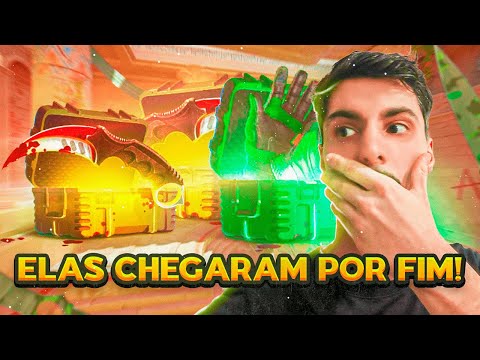 AS FAMOSAS FACAS E LUVAS POR FIM APARECERAM PARA MIM NESSAS CAIXAS