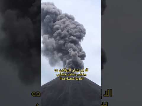 أخطر جزيرة فى العالم