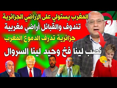 #الإعلام_الجزائري، 🇩🇿🔥 يهاجم عبد المجيد تبون وجزائرية تدرف الدموع وتذكر المغرب بدون شعور 🇲🇦😭