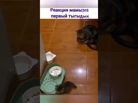на маму смотрим