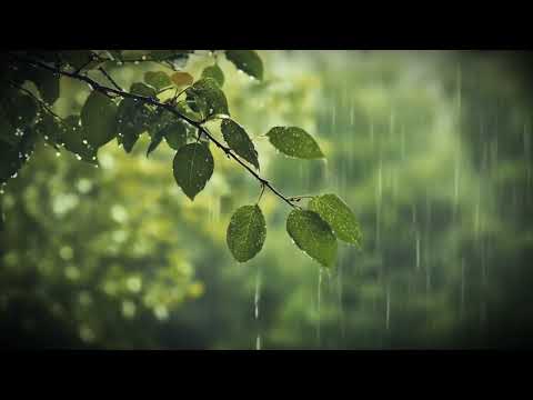Relaxing Rain and Thunder Sounds, Fall Asleep Faster, Beat Insomnia, Sleep Music, Relaxation Sounds