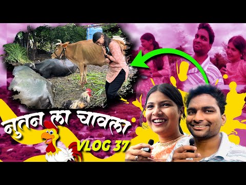 नूतन ला चावला कोंबडा😱🥺 | नक्की काय विषय झाला असेलं 🤔😳 | 𝐕𝐋𝐎𝐆 - 𝟑𝟕 | 𝐒𝐀𝐓𝐀𝐑𝐀 𝐓𝐎𝐔𝐑 | 𝐀𝐦𝐡𝐢 𝐅𝐢𝐫𝐭𝐢𝐯𝐚𝐫