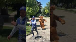 Dog VS. Mailman