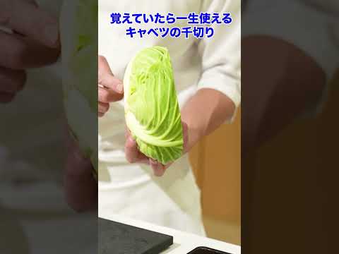 見れば真似したくなる!日本料理界の『マスター』によるキャベツの千切り