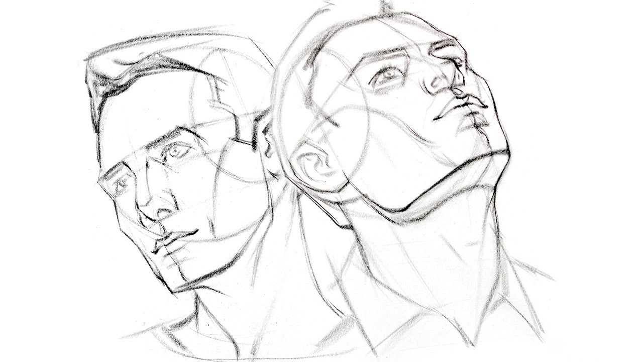 How to Draw the Head from Extreme Angles - Proko