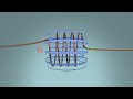 Magnetic Fields and Forces Concepts
