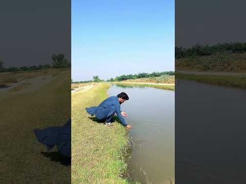 Factory 🏭 ny canal ka pani💦 pee liya 😌 #funny #vfxshorts