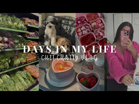 VLOG | a few days in my life (groceries, target haul, taking daisy to vet)