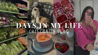 VLOG | a few days in my life (groceries, target haul, taking daisy to vet)