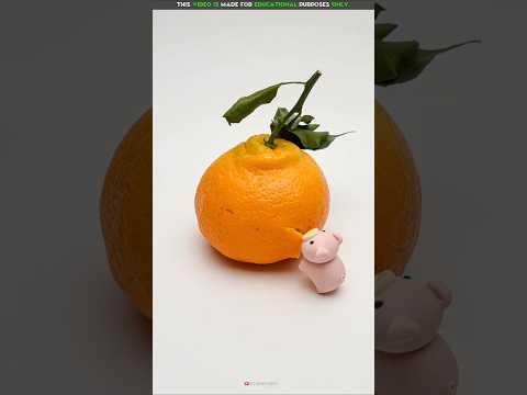 Piggy Food Big Orange 🍊🐷| New Viral Gadgets, Smart Appliances, Kitchen Utensils/ Home Inventions