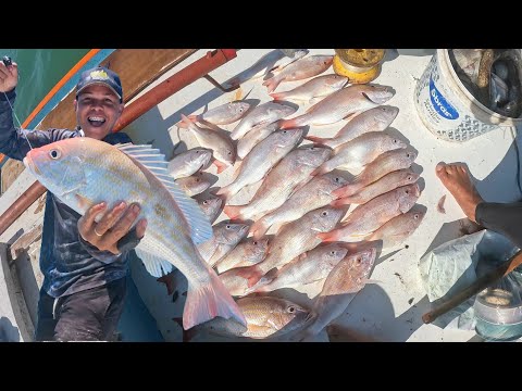 AINDA ESTOU SEM ACREDITAR NO QUE ACONTECEU - PESCANDO E COMENDO NO ALTO MAR !