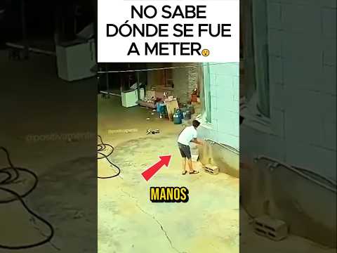 Cuando el perro del vecino se mete a tu casa