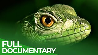 YouTube video thumbnail: Panama & Costa Rica: Tropical Natural Paradise