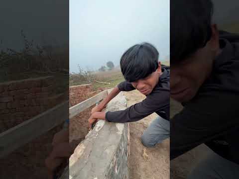 Big shark fish hole main chali gai