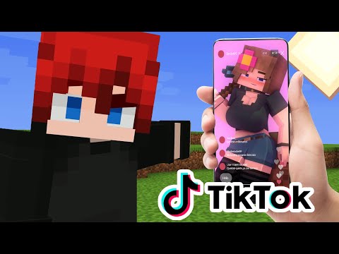 Si TIKTOK existiera en MINECRAFT