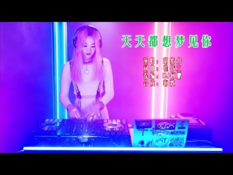 胡蜜丹 《天天都想梦见你 （DJ何鹏版）》 KTV 导唱字幕 （备有伴奏视频）