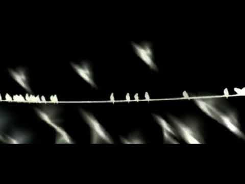 Untitled #9 - Smáskífa 2