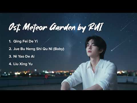 Best of Meteor Garden OST | 30 Minutes of Nostalgia & Romance (RUI Special Version)