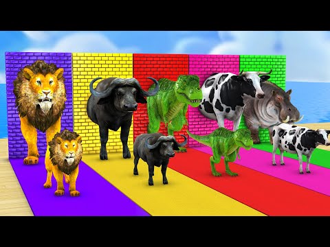 Long Slide Game With Cow Elephant Gorilla Hippopo Tiger 3d Animal Game Funny 3d Animals