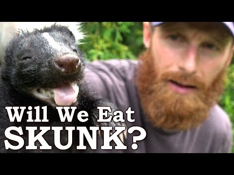 Will We Eat Skunk! - IF WE LOSE WE EAT SKUNK! - Zach Fowler Parody!