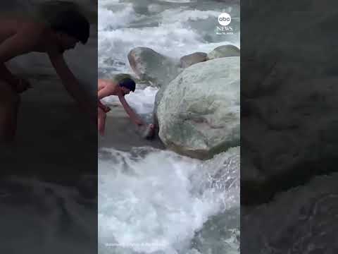 HOME SALVA MACACO EM CACHOEIRA!