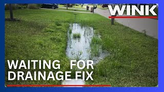 Cape Coral homeowner faces months-long wait for drainage fix after yard floods