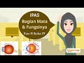 Understanding the Eye: Parts and Functions