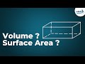 Properties and Formulas of Cuboids