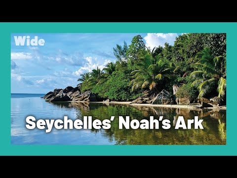 YouTube video thumbnail: Seychelles: Restoring Paradise