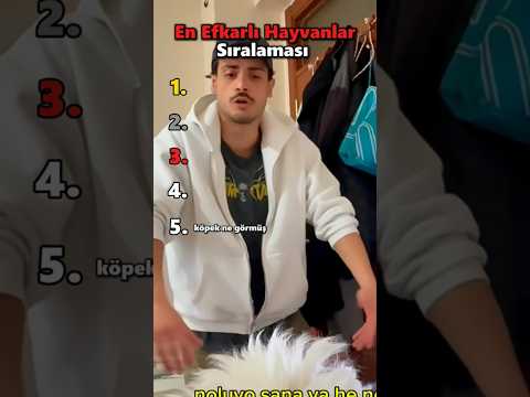 En Efkarlı Hayvanlar Sıralaması #sıralama #eniyi #şarkı #hayvanlar