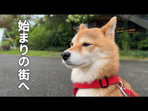 福ちゃんとの新たな生活に選んだのはこの街でした